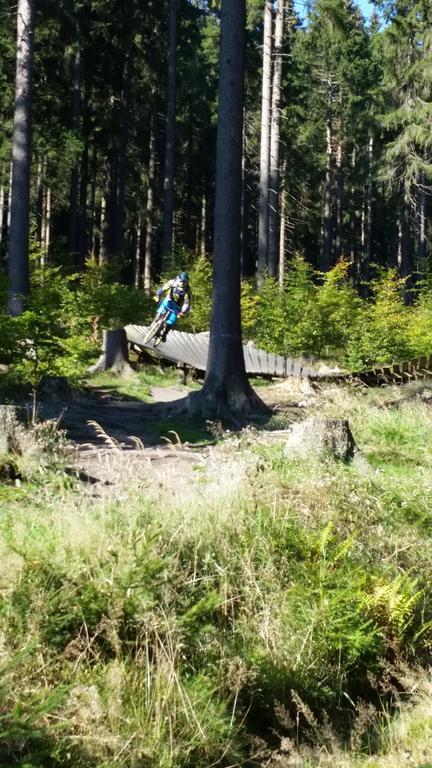 Harz-Zauber Apartment Braunlage Bagian luar foto