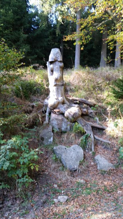 Harz-Zauber Apartment Braunlage Bagian luar foto