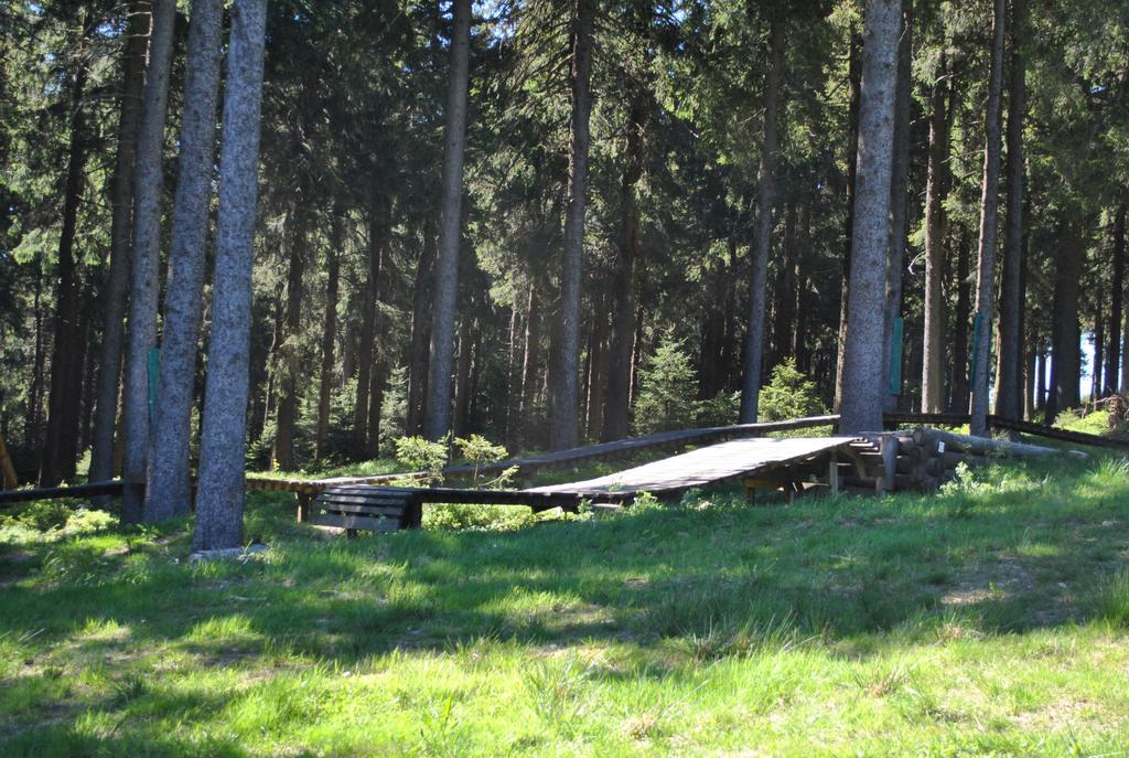 Harz-Zauber Apartment Braunlage Bagian luar foto