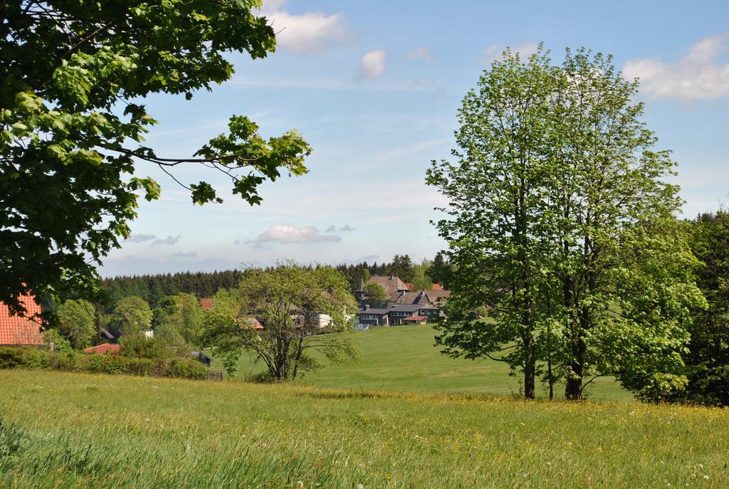 Harz-Zauber Apartment Braunlage Bagian luar foto