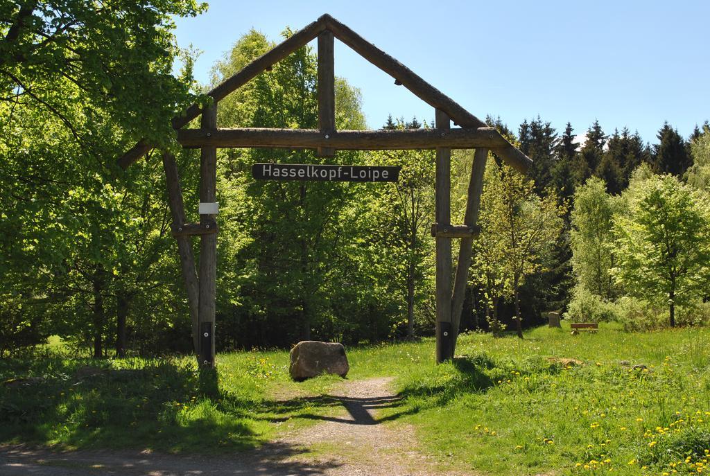 Harz-Zauber Apartment Braunlage Bagian luar foto